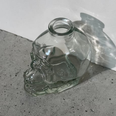 Skull Glass Vase