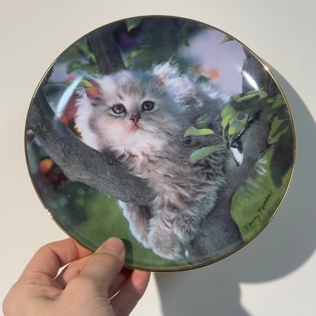 Pretty Cat Dish