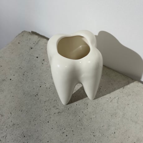 Milk Tooth Case