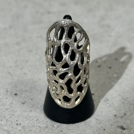 Nest Hole Ring