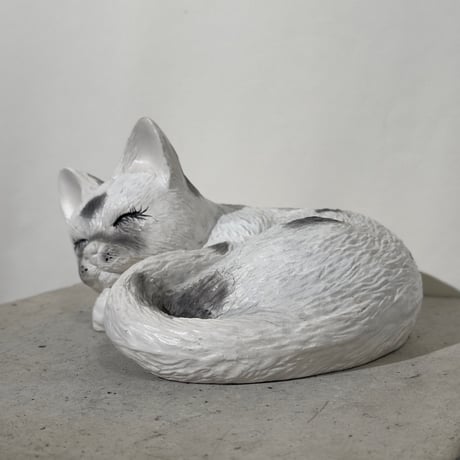 Sleeping White Cat