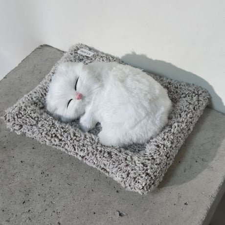 Sleeping Cat