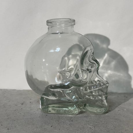 Skull Glass Vase