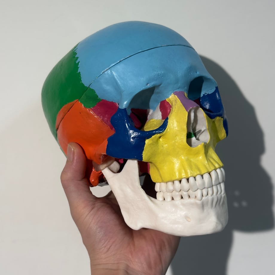 690ec9c123b5d0700873f7ae