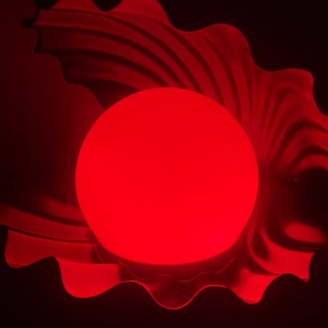 Black Touch Shell Lamp