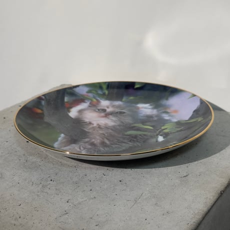 Pretty Cat Dish