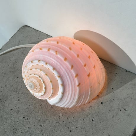 Snail Shell Lamp