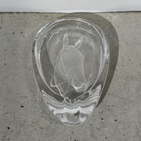Horse Hoof Tray