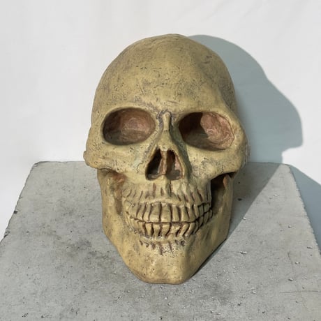 Skull Coin Bank