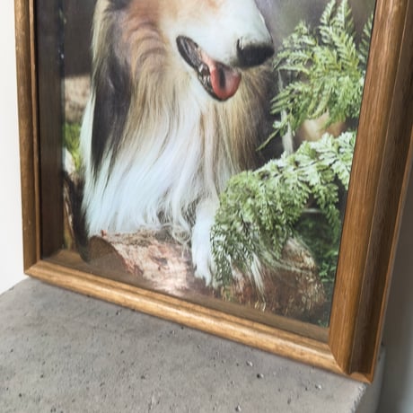 3D Dog Frame