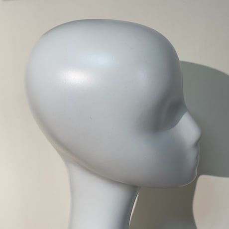 Abstract Face Mannequin