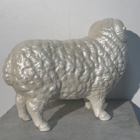White Sheep