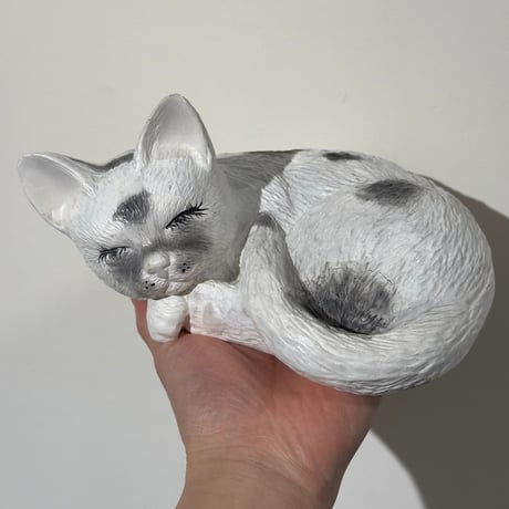 Sleeping White Cat