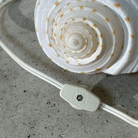 Snail Shell Lamp