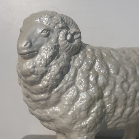 White Sheep