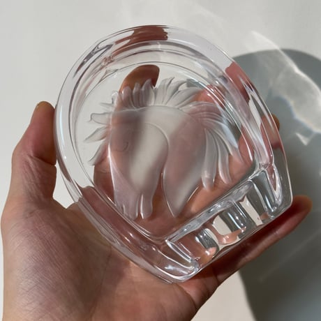 Horse Hoof Tray
