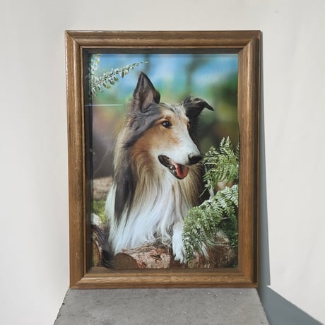 3D Dog Frame