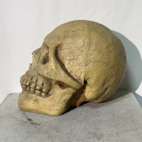 Skull Coin Bank