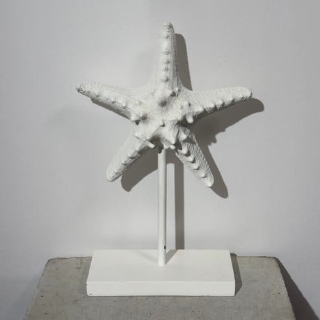 Starfish Object