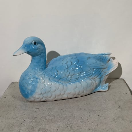 Blue Duck Object