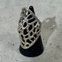 Nest Hole Ring