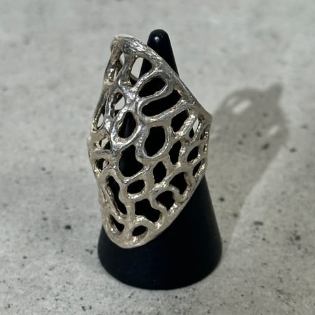 Nest Hole Ring