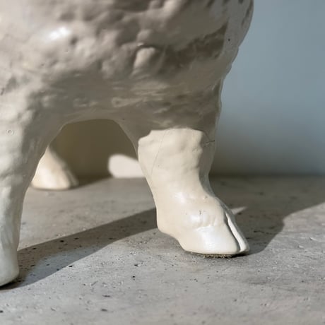 White Sheep