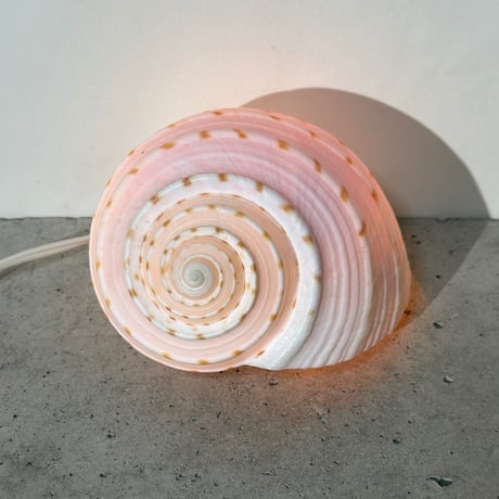 Snail Shell Lamp