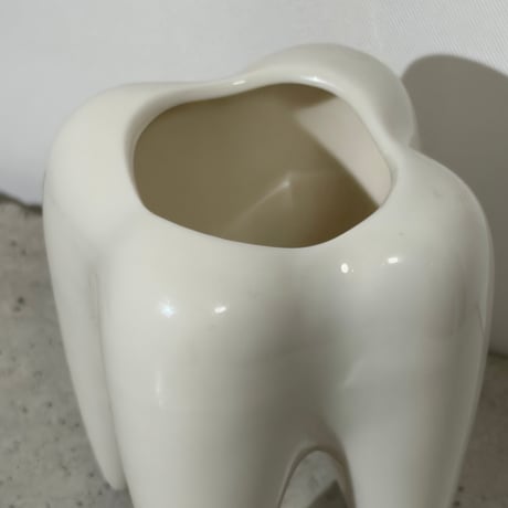 Milk Tooth Case
