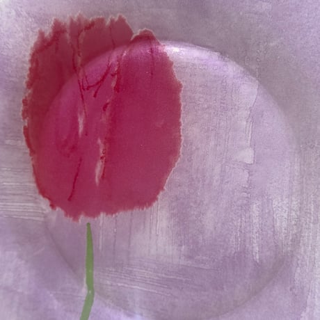 Pop Tulip Plate