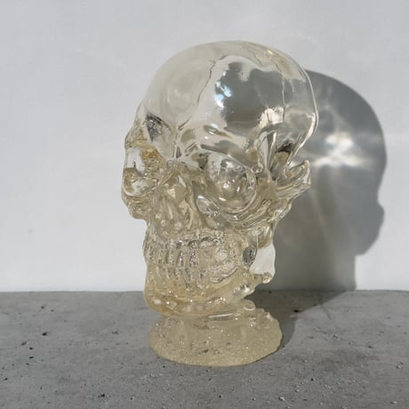 Skull Clear Object