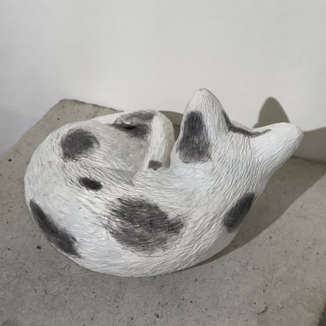 Sleeping White Cat