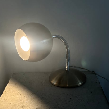 Flexible Stand Light