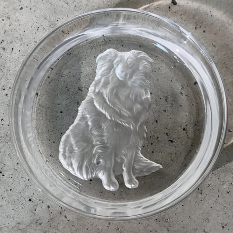 Dog Glass Plate
