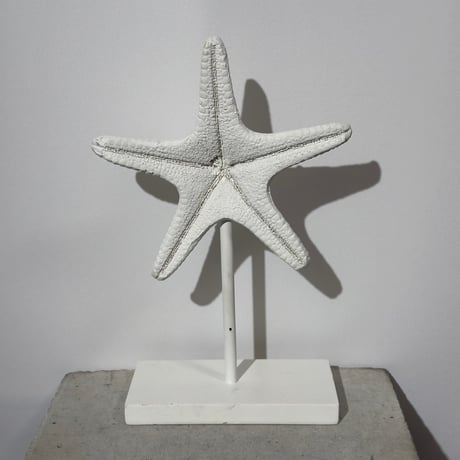 Starfish Object