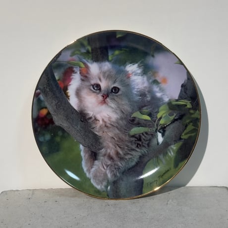 Pretty Cat Dish