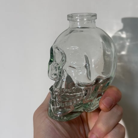 Skull Glass Vase