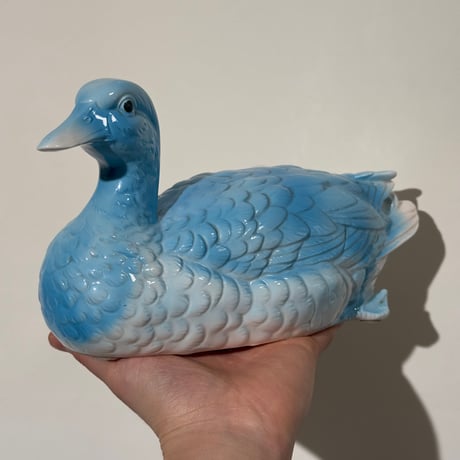 Blue Duck Object