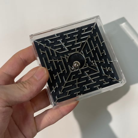 Crazy Maze Puzzle
