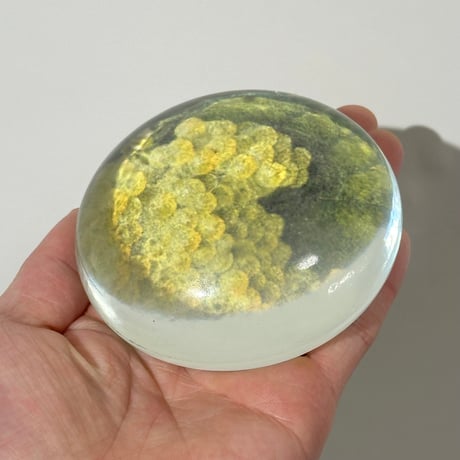 Grapes Glass Weight