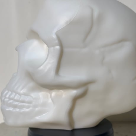 Skull Head Lamp