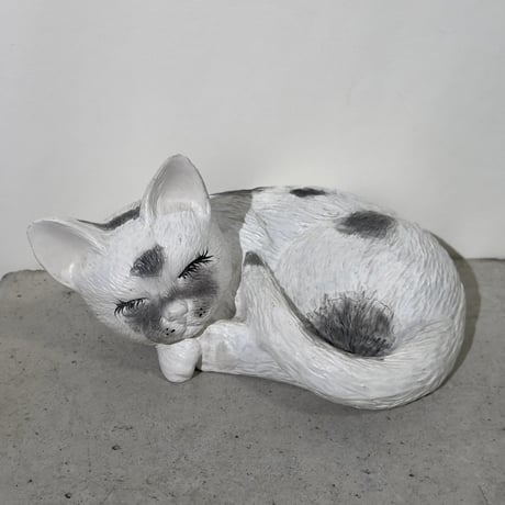 Sleeping White Cat