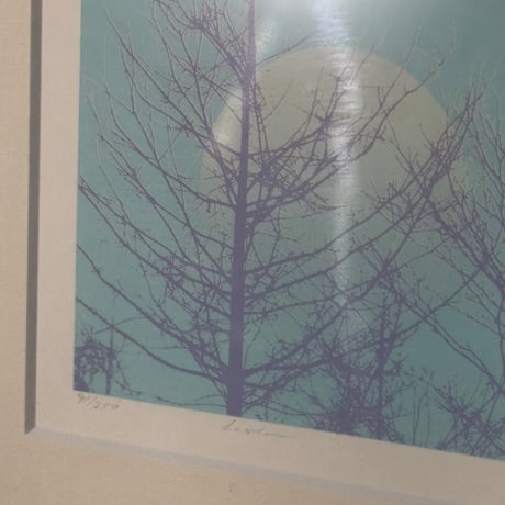 Winter Forest Moon Picture