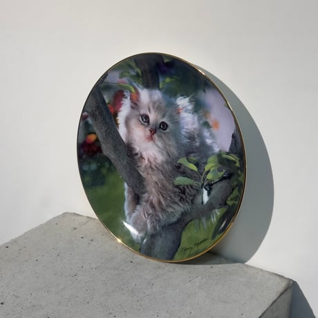 Pretty Cat Dish