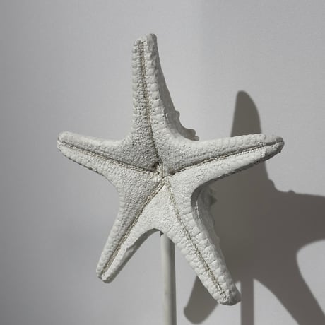 Starfish Object