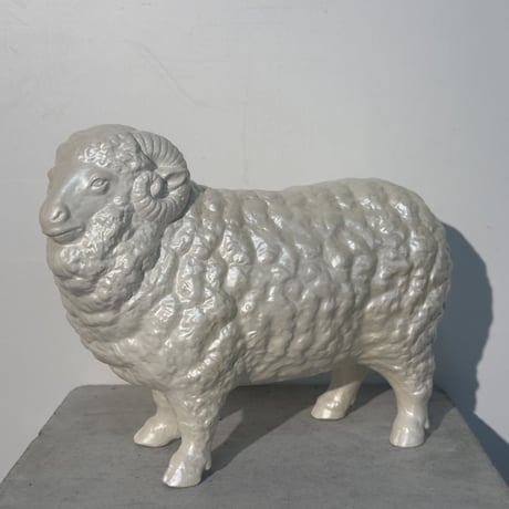 White Sheep