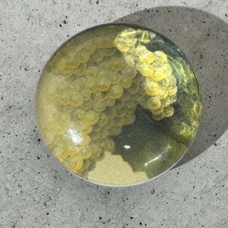Grapes Glass Weight
