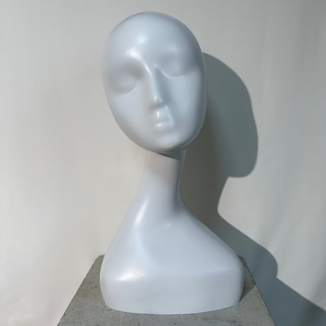 Abstract Face Mannequin