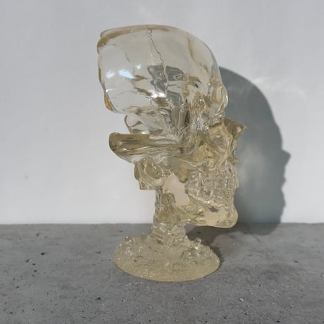 Skull Clear Object