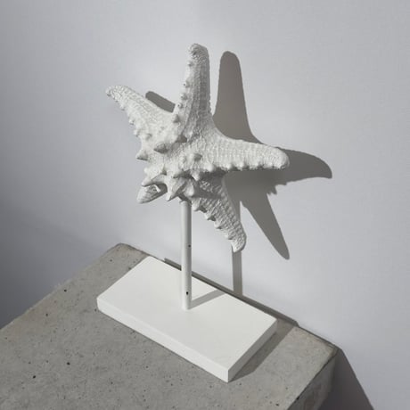 Starfish Object